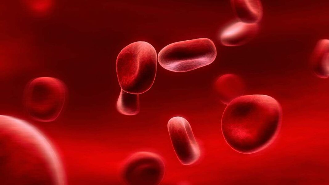 Αιμοπετάλια ανοσιακή απόκριση