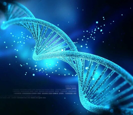 Η Μεθυλίωση του DNA και ο ρόλος της στη Λιπώδη Διήθηση του Ήπατος