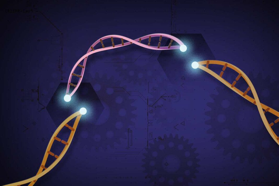 Η Τεχνική CRISPR Μπορεί να Θεραπεύσει Κληρονομικές Νόσους στα Πειραματόζωα