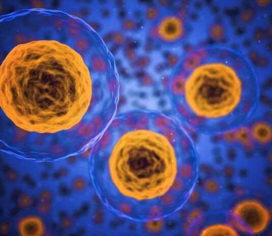Νέα Έρευνα Αποκαλύπτει το Ρόλο των Συμβιοτικών Βακτηρίων στην Πολλαπλή Σκλήρυνση