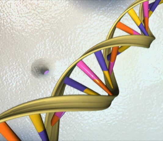 Τα Γονίδια και ο Ρόλος τους στις Λοιμώξεις