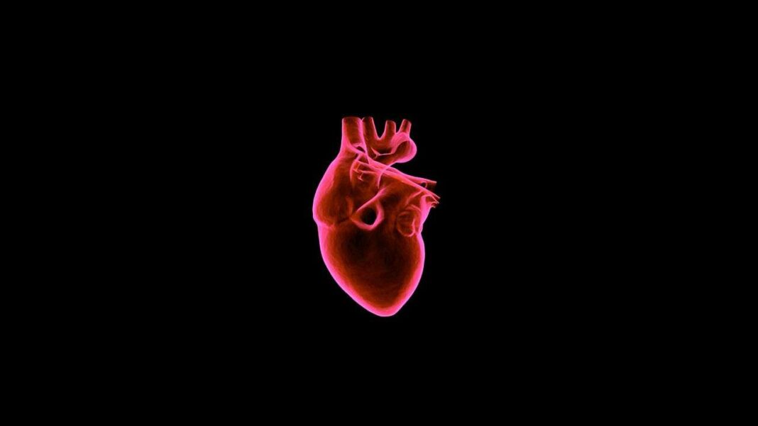 Το Εντερικό Μικροβίωμα επηρεάζει την Καρδιακή Υγεία